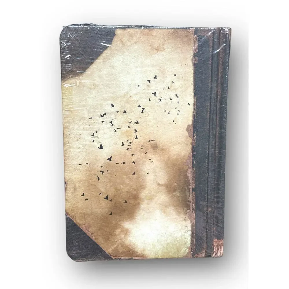 Jon Thor Birgisson & Alex Somers: Riceboy Sleeps. Arrwork by Jonsi of‎ Sigur Ros